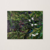 Tikalのジャングル ジグソーパズル (横)