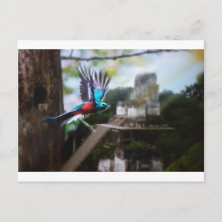 TikalのQuetzel ポストカード