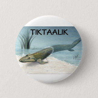 Tiktaalik 缶バッジ