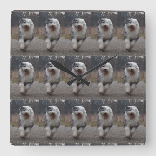 Tiled Old English Sheepdog Clock - Run Dog! スクエア壁時計 (正面)