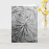 Tillandsia tectorum カード (黄色い花)