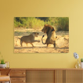 Timbavati River, Kruger National Park, Limpopo キャンバスプリント (インサイチュ (リビング))
