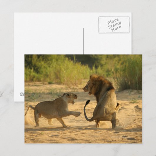 Timbavati River, Kruger National Park, Limpopo ポストカード (正面/裏面)