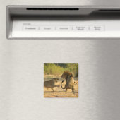 Timbavati River, Kruger National Park, Limpopo マグネット (インサイチュ (食洗機))
