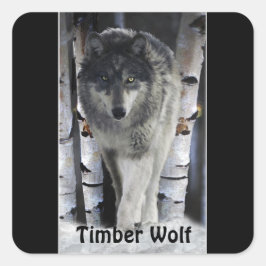 TIMBER WOLF野生動物サポーターのアートワーク スクエアシール