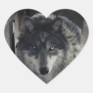 TIMBER WOLF野生動物サポーターのアートワーク ハートシール