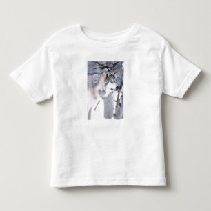 Timber Wolf, Canis lupus, Movie Animal Utah) トドラーTシャツ