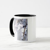 Timber Wolf, Canis lupus, Movie Animal Utah) マグカップ (正面左)