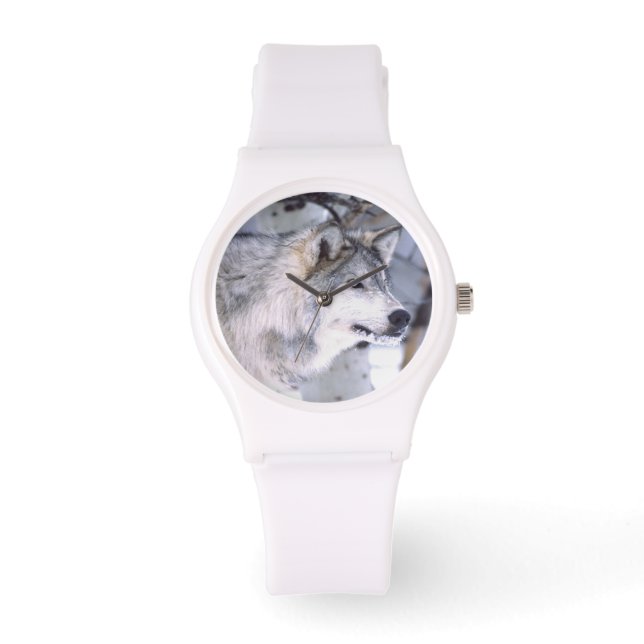 Timber Wolf, Canis lupus, Movie Animal Utah) 腕時計 (正面)