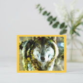 Timber Wolf Products from JungleWalk.com ポストカード (スタンド正面)