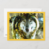 Timber Wolf Products from JungleWalk.com ポストカード (正面/裏面)