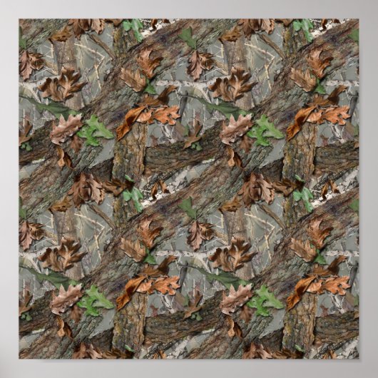 Timber's Edge XDポスター ポスター (正面)