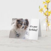 TIME TO 祝 ***16**** SNOWBOUND PUP カード (黄色い花)