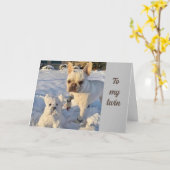 TIME TO "CELEBRATE" YOU - "TWIN'S" CARD カード (黄色い花)