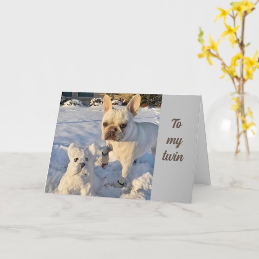 TIME TO "CELEBRATE" YOU - "TWIN'S" CARD カード (黄色い花)