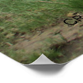 "TIME WORN" by Cr Sinclair ポスター (角)