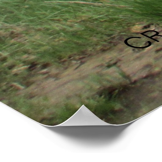 "TIME WORN" by Cr Sinclair ポスター (角)