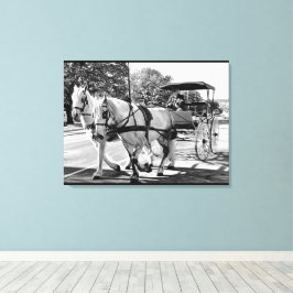 Timeless Journey キャンバスプリント