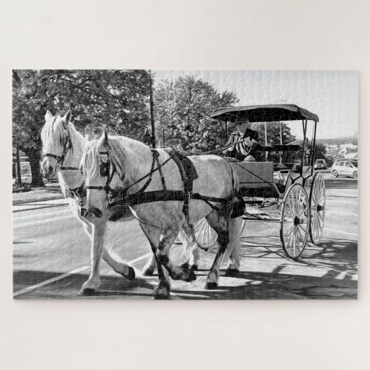 Timeless Journey ジグソーパズル (横)