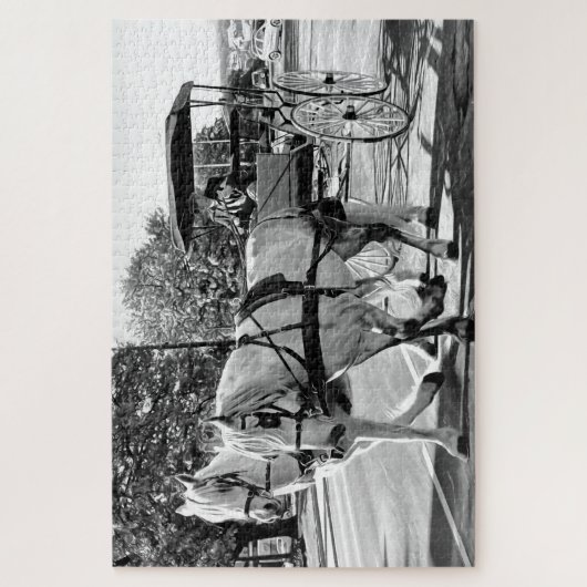 Timeless Journey ジグソーパズル (縦)