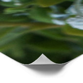 Timeless Journey ポスター (角)