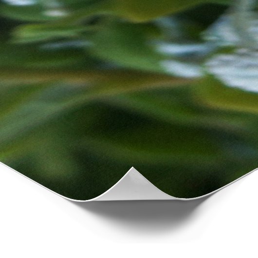 Timeless Journey ポスター (角)