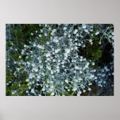 Timeless Journey ポスター (正面)