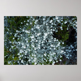 Timeless Journey ポスター