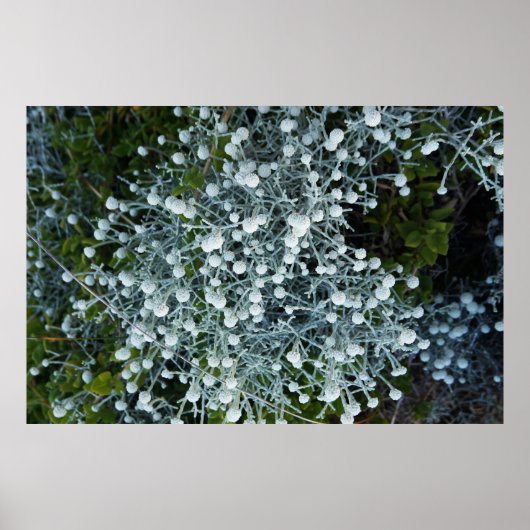 Timeless Journey ポスター (正面)