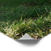 Timeless Journey ポスター (角)