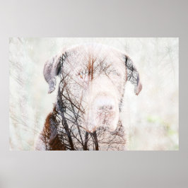 Timeless Journey ポスター