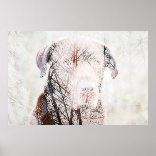 Timeless Journey ポスター (正面)