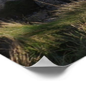 Timeless Journey ポスター (角)