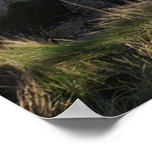 Timeless Journey ポスター (角)