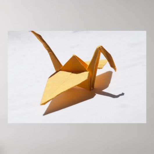 Timeless Journey ポスター (正面)