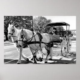 Timeless Journey ポスター