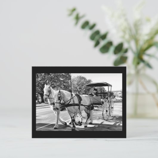 Timeless Journey ポストカード (スタンド正面)