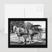 Timeless Journey ポストカード (正面/裏面)