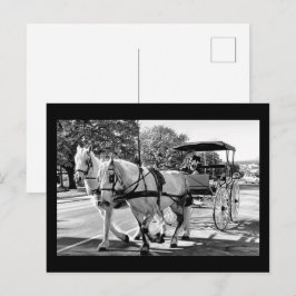 Timeless Journey ポストカード