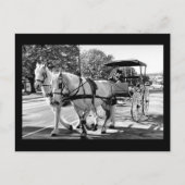 Timeless Journey ポストカード (正面)