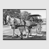 Timeless Journey Magnetic Card (正面)