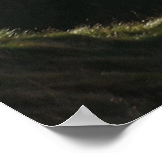 Timeless Journey Poster ポスター (角)