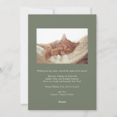 Timeless Taupe Green Double Border Photo Christmas シーズンカード (裏面)