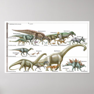 Timeline of the dinosaurs Jurassic Biology ポスター