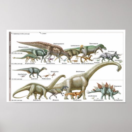 Timeline of the dinosaurs Jurassic Biology ポスター (正面)