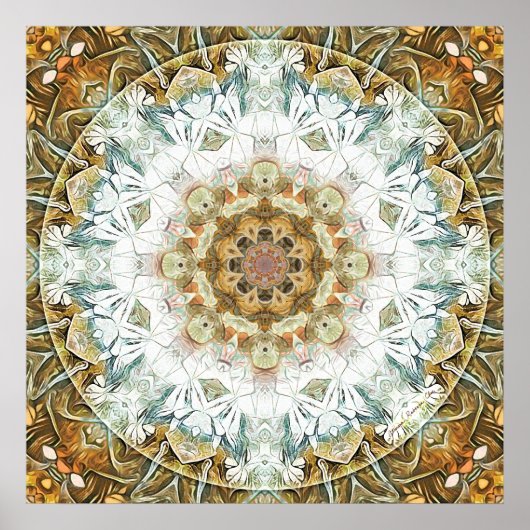 Times of Transition 11 Posterのためのマンダラ ポスター (正面)