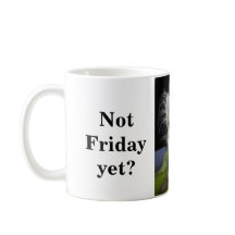 Timmyの金曜日の毛