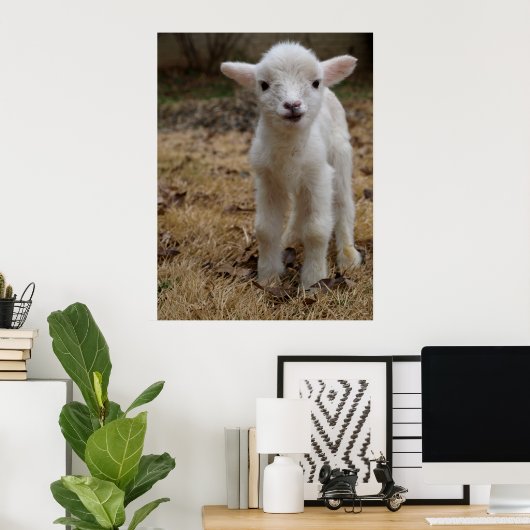 Timmy the Lamb Poster ポスター (ホームオフィス)