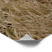 Timmy the Lamb Poster ポスター (角)