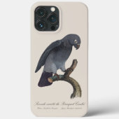 Timneh African Grey Parrot, Psittacus Timneh Case-Mate iPhoneケース (裏面)